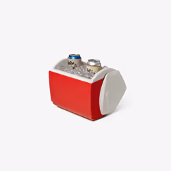 Igloo Playmate glacière 6 L Rouge