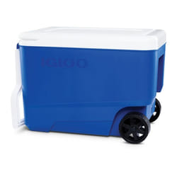 Igloo Wheelie Cool 38 Glacière sur roues - 36 Litre - Bleu
