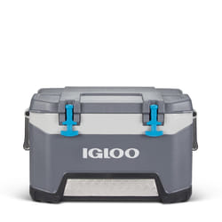 Igloo Bmx 52 QT Cooler glacière 49 L Bleu, Gris