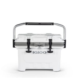 Igloo IMX 24 QT Cooler glacière 22 L Blanc
