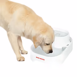 Kerbl 80890 gamelle et abreuvoir pour chiens et chats Blanc Universel Fontaine à eau automatique pour animaux de compagnie
