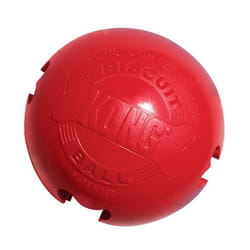 KONG Classic Biscuit Ball