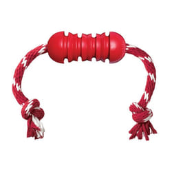 KONG Dental with Rope