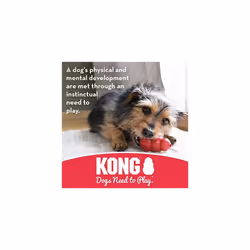 KONG 10015 jouet pour chiens et chats - Vue supplémentaire 4
