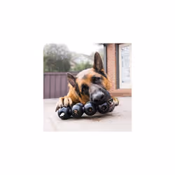 Jouet pour chien Kong Extreme Goodie Ribbon
