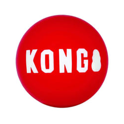 Balle pour chien Kong Signature (x2)