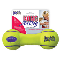 Jouet pour chien haltère Kong Air Squeakair
