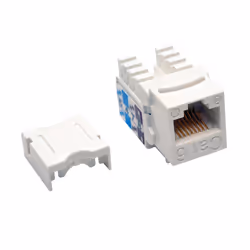 Tripp Lite N238-001-WH, RJ-45, Blanc, TAA, 101,6 mm, 12,7 mm, 127 mm