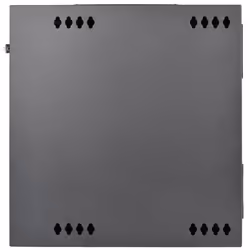 Tripp Lite SRW12USDPG boîtier rack de puissance 12U Mur Noir