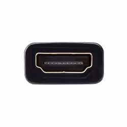 Tripp Lite P136-001 câble vidéo et adaptateur 0,3 m DisplayPort HDMI Noir