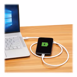 Tripp Lite U521-1P0M-WH câble USB USB4 Gen 2x2 1 m USB C Blanc - Vue supplémentaire 6