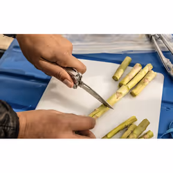 Leatherman Curl pince multi-outils Format de poche 15 outils Argent - Vue supplémentaire 5