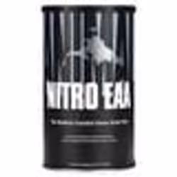 Animal Nitro 44 Sachets
