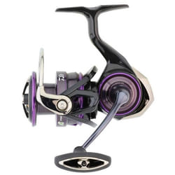 Daiwa Moulinet Spinning Prorex Monocoque Lt 2022 3000 Cxh - 205g - R.6.2 - Tmv.93cm - BK.10kg - PXMQ22LT3000CXH