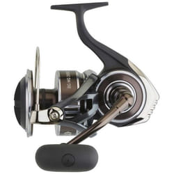 Moulinet Daiwa BG Mq 2020 8000 H - Pêche - Noir - 630g - 6 + 1 Roulement - Bobine en aluminium