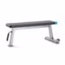 Banc de musculation ProForm - GRIS - Multizones - 155 kg - Simple - PROFORM