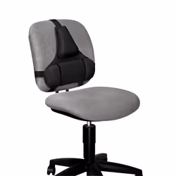 Fellowes Support dorsal Premium Professional Series