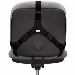 Fellowes Support dorsal Premium Professional Series