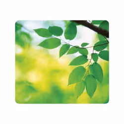Fellowes Tapis Earth Series Feuilles, Vert, Image, Plastique, Caoutchouc, Base antidérapante