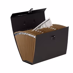 Fellowes Trieur accordéon Handilife Bankers Box - Noir