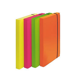 Fellowes 1028101 fichier Polypropylène (PP) Multicolore A4