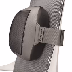 Fellowes Support lombaire I-Spire Series