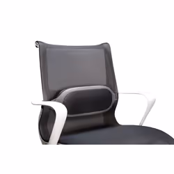 Fellowes I-Spire Series Noir, Gris Coussin assise et dossier