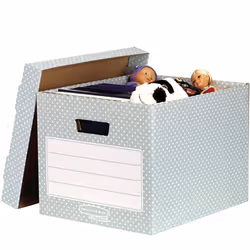 Fellowes 4481301 Boîte de rangement Rectangulaire Papier Vert