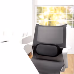 Fellowes 8042301 coussin dorsal Noir, Gris Polyester Dossier grillagé