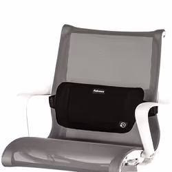 Fellowes 8026501 soutien lombaire pour dossier de siège Noir