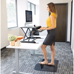 Fellowes Lotus LT - Vue supplémentaire 7