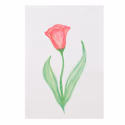 Pacon Drawing Paper, papier d'art, 500 feuilles