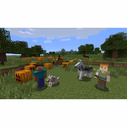 Nintendo Minecraft: Wii U Edition Standard Français