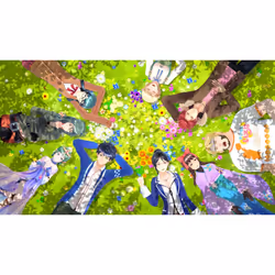 Nintendo Tokyo Mirage Sessions #FE Standard Wii U
