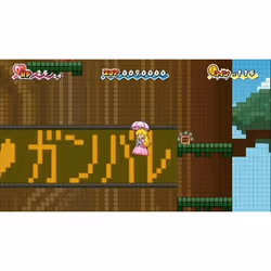 Nintendo Super Paper Mario, Wii