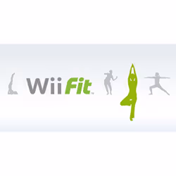 Nintendo Wii Fit, Wii Standard