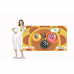 Nintendo Wii Fit Plus Bundle