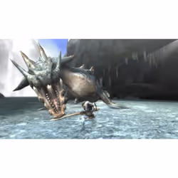 Nintendo Monster Hunter Tri, Wii