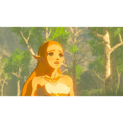 Nintendo The Legend of Zelda: Breath of the Wild Switch Standard Français Nintendo Switch