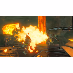 Nintendo The Legend of Zelda: Breath of the Wild Standard Allemand, Anglais, Italien Nintendo Switch - Vue supplémentaire 10