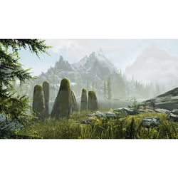 Nintendo The Elder Scrolls V: Skyrim Standard Anglais, Français Nintendo Switch