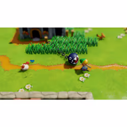 Nintendo The Legend of Zelda : Link's Awakening Standard Français Nintendo Switch - Vue supplémentaire 21