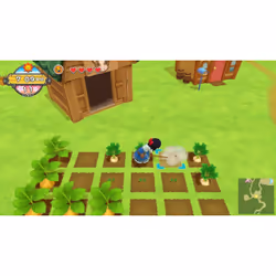 Natsume Harvest Moon : Un Monde à Cultiver Standard Nintendo Switch - Vue supplémentaire 4