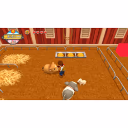 Natsume Harvest Moon : Un Monde à Cultiver Standard Nintendo Switch - Vue supplémentaire 8