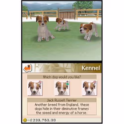 Nintendo Nintendogs Dalmatian & Friends Allemand Nintendo DS