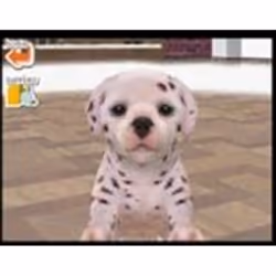 Nintendo Nintendogs Dalmatian & Friends Allemand Nintendo DS - Vue supplémentaire 5