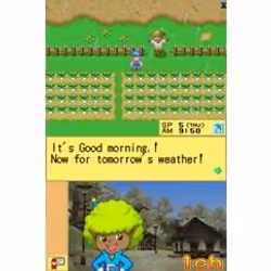 Nintendo Harvest Moon DS Nintendo DS