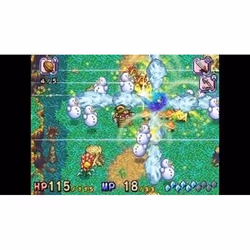 Nintendo Children of Mana, Nintendo DS, Support physique
