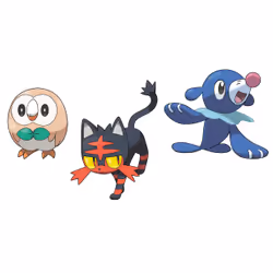 Nintendo Pokémon Soleil Standard Allemand, Anglais, Chinois simplifié, Coréen, Espagnol, Français, Italien, Japonais Nintendo 3DS - Vue supplémentaire 9