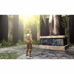 Nintendo Fire Emblem Echoes : Shadows of Valentia Standard Nintendo 3DS